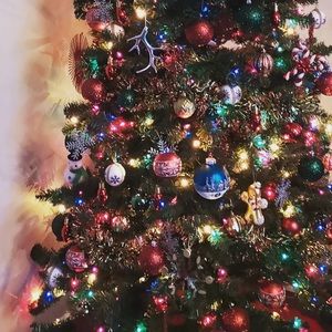 Meet your Posher, Rocio